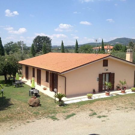 Agriturismo La Piantata Bolsena Ngoại thất bức ảnh
